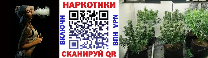 МЕФ Камышлов