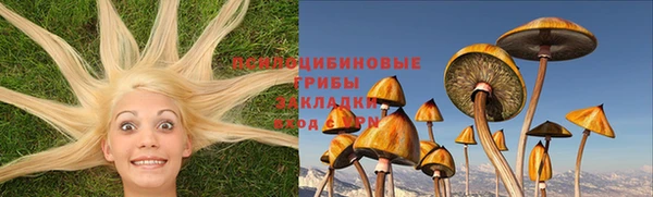 МДПВ Заводоуковск