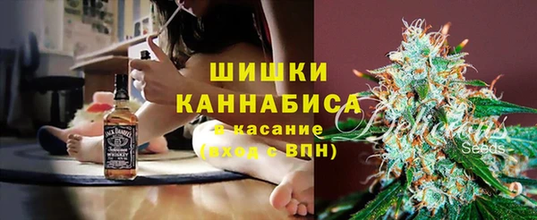 МДПВ Заводоуковск